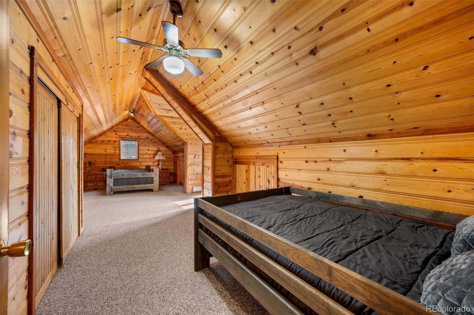 455 Satanta Circle Westcliffe CO 81252