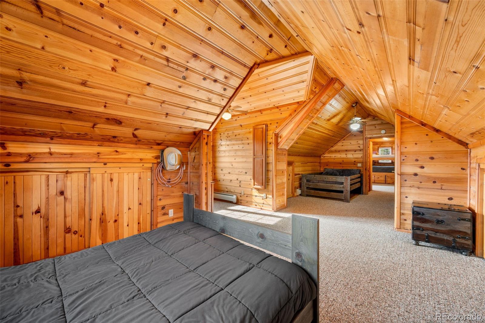 455 Satanta Circle Westcliffe CO 81252