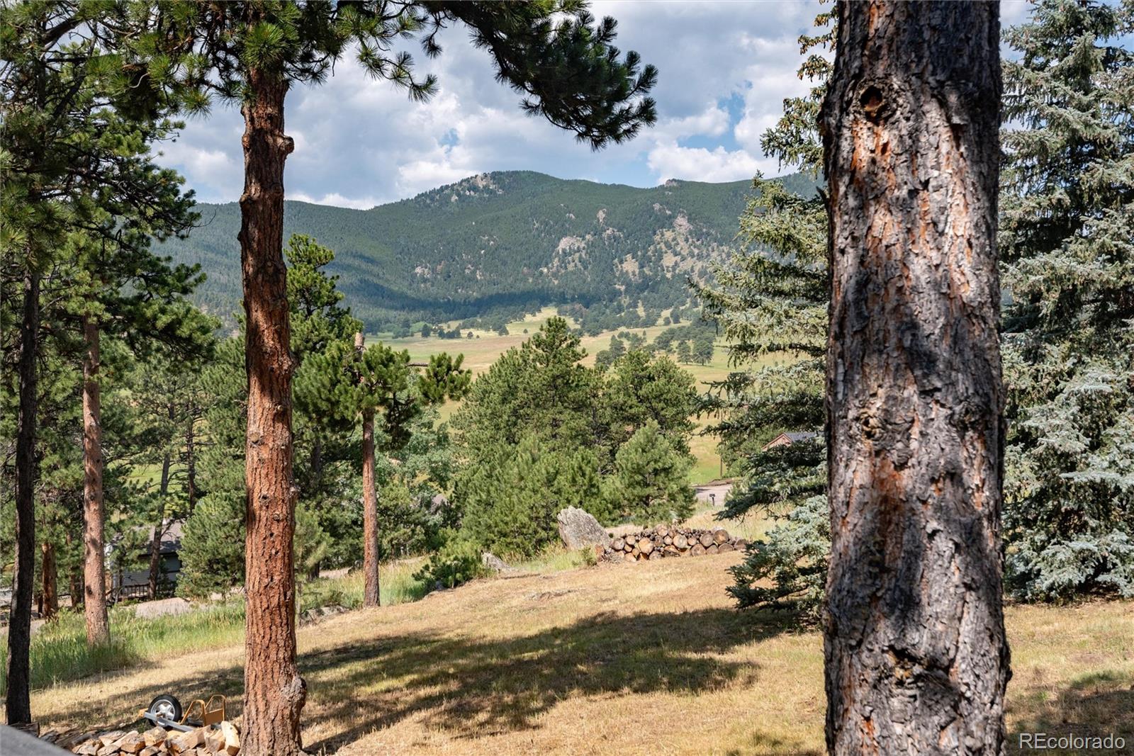 2529 Medinah Drive Evergreen CO 80439