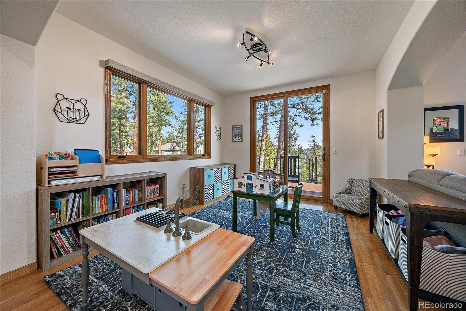 6637 Berry Bush Lane Evergreen CO 80439