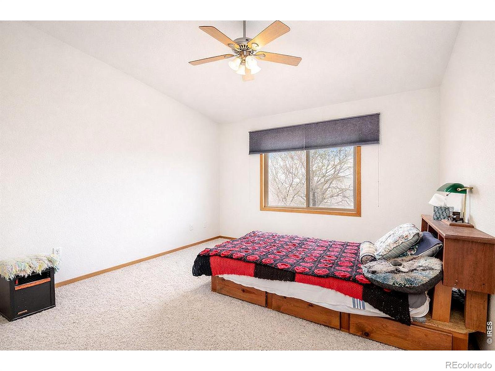 7209 W 21st Street Greeley CO 80634