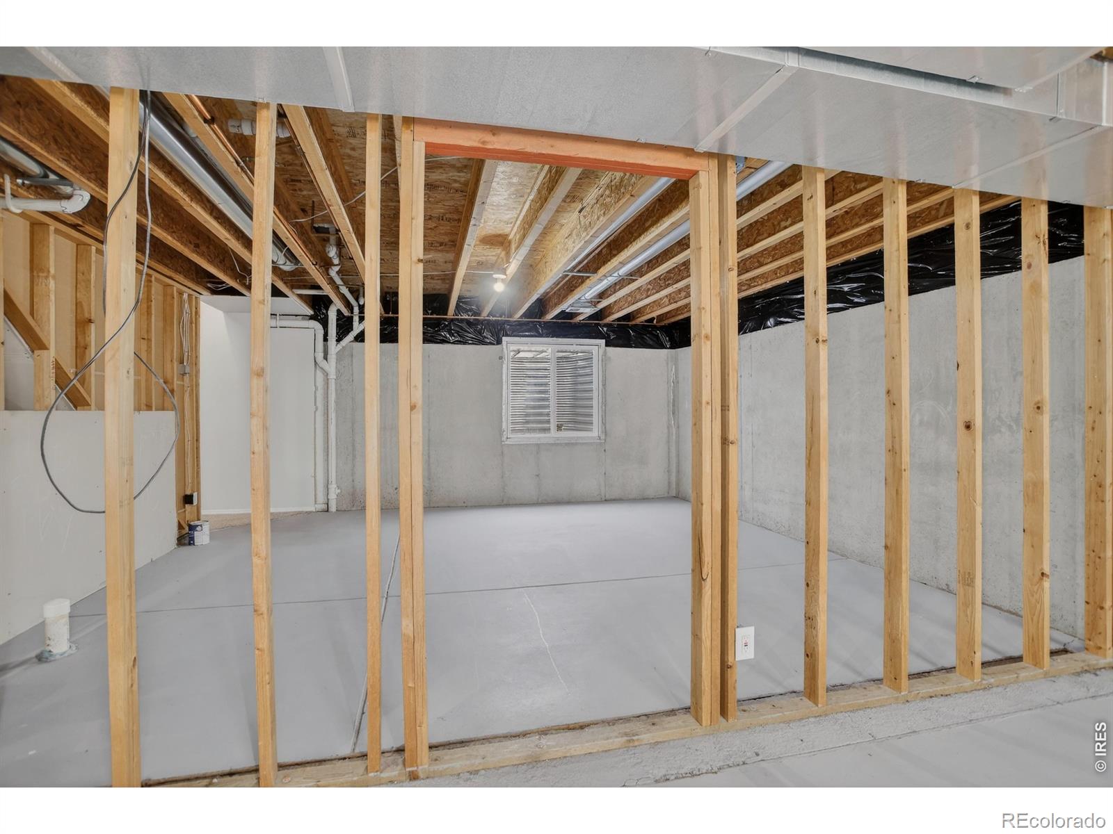 3000 Swan Point Court Evans CO 80620