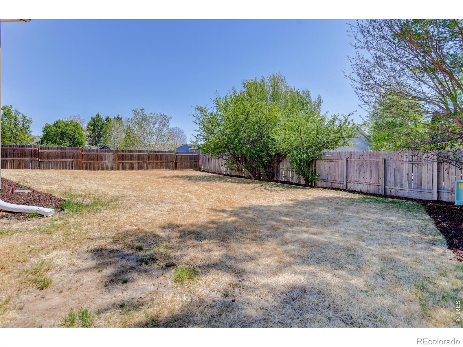 3000 Swan Point Court Evans CO 80620