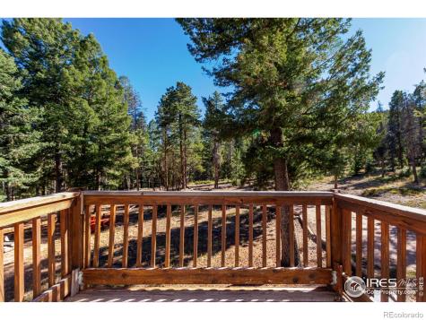 7593 County Road 68 Bailey CO 80421