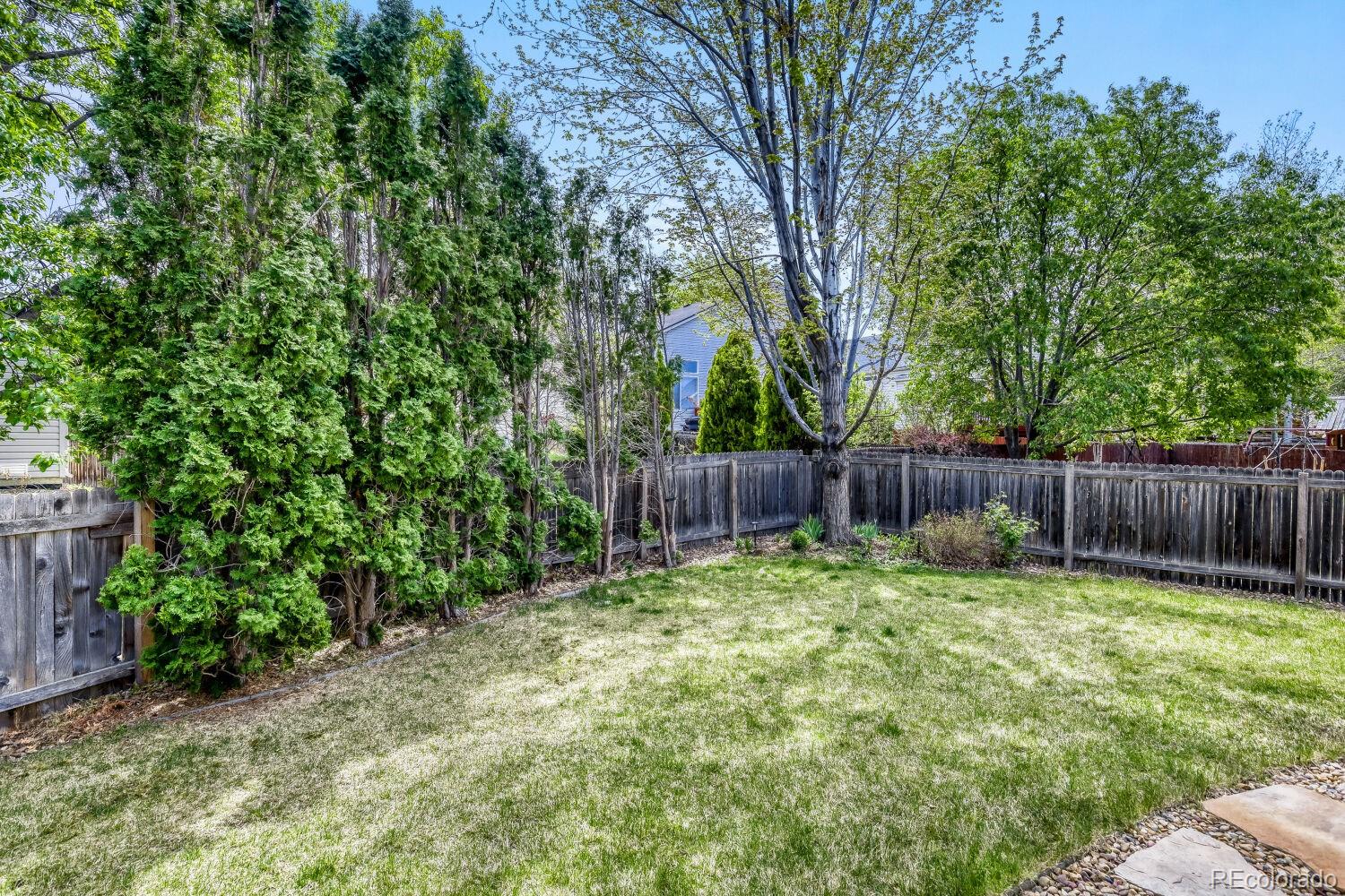 1355 Carnation Circle Longmont CO 80503