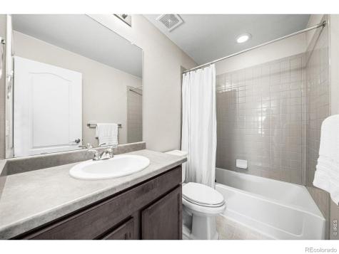 1637 Stoll Drive Windsor CO 80550
