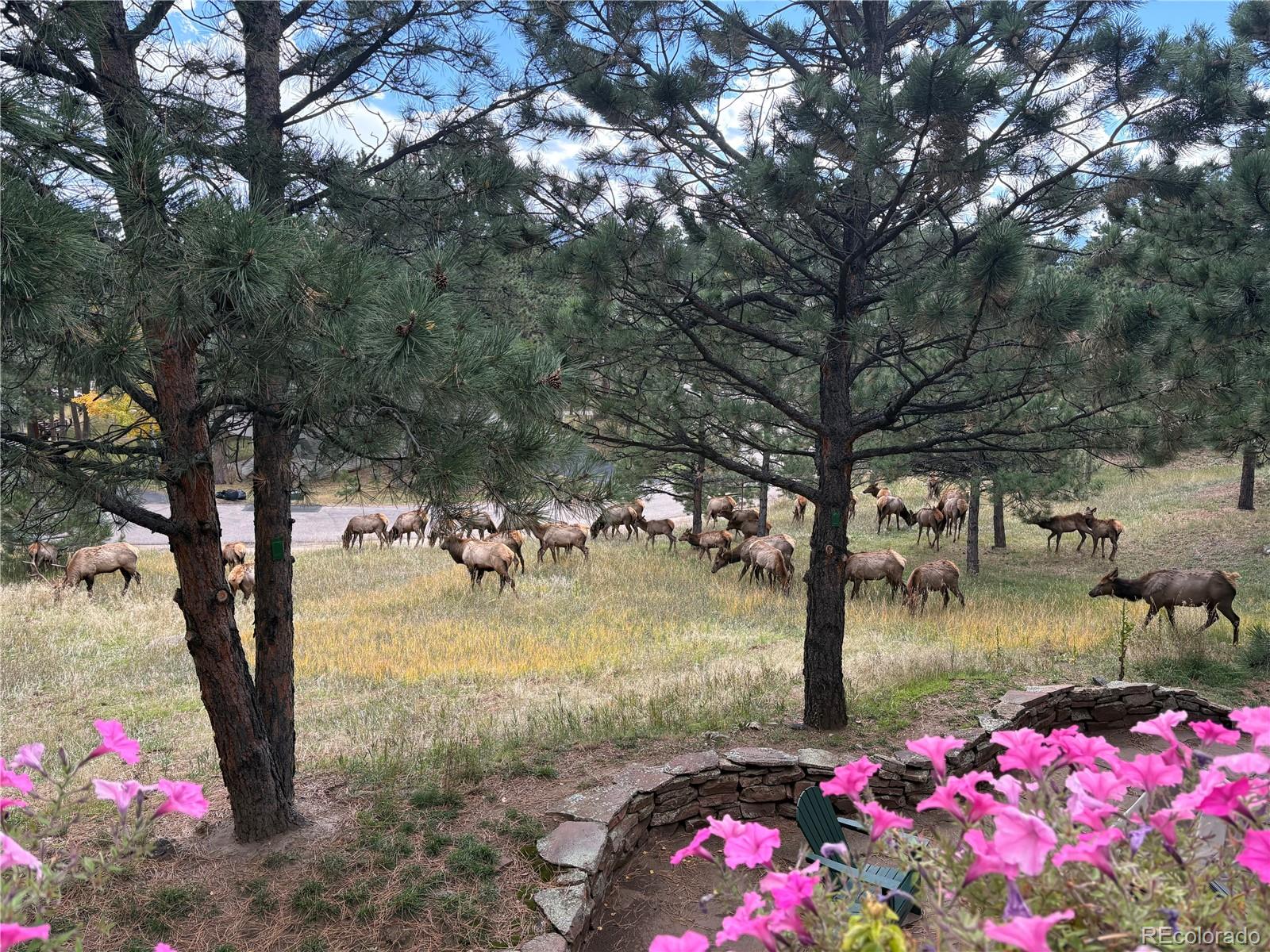 1209 Northridge Court Golden CO 80401