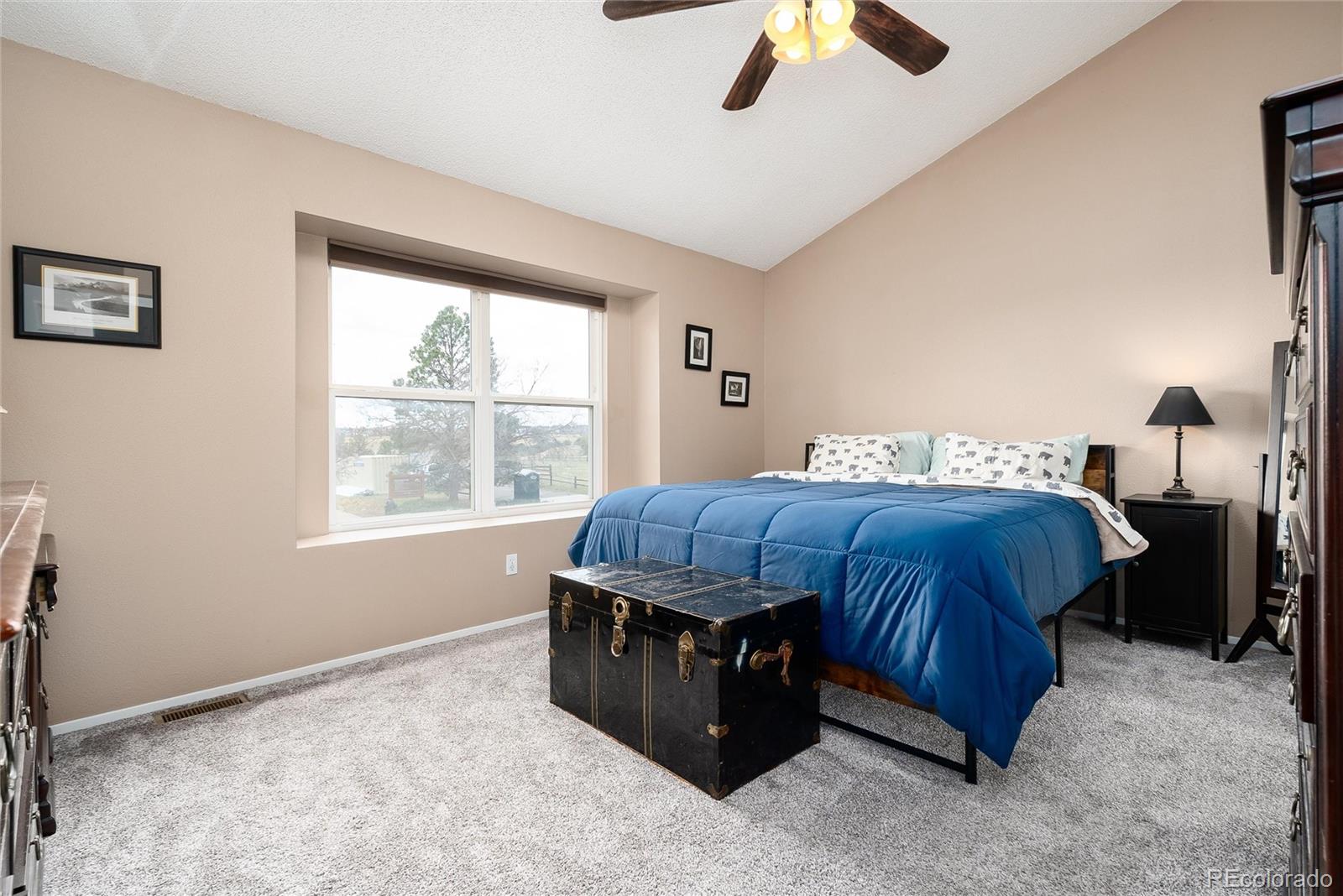 5729 Wagonwheel Trail Castle Rock CO 80104