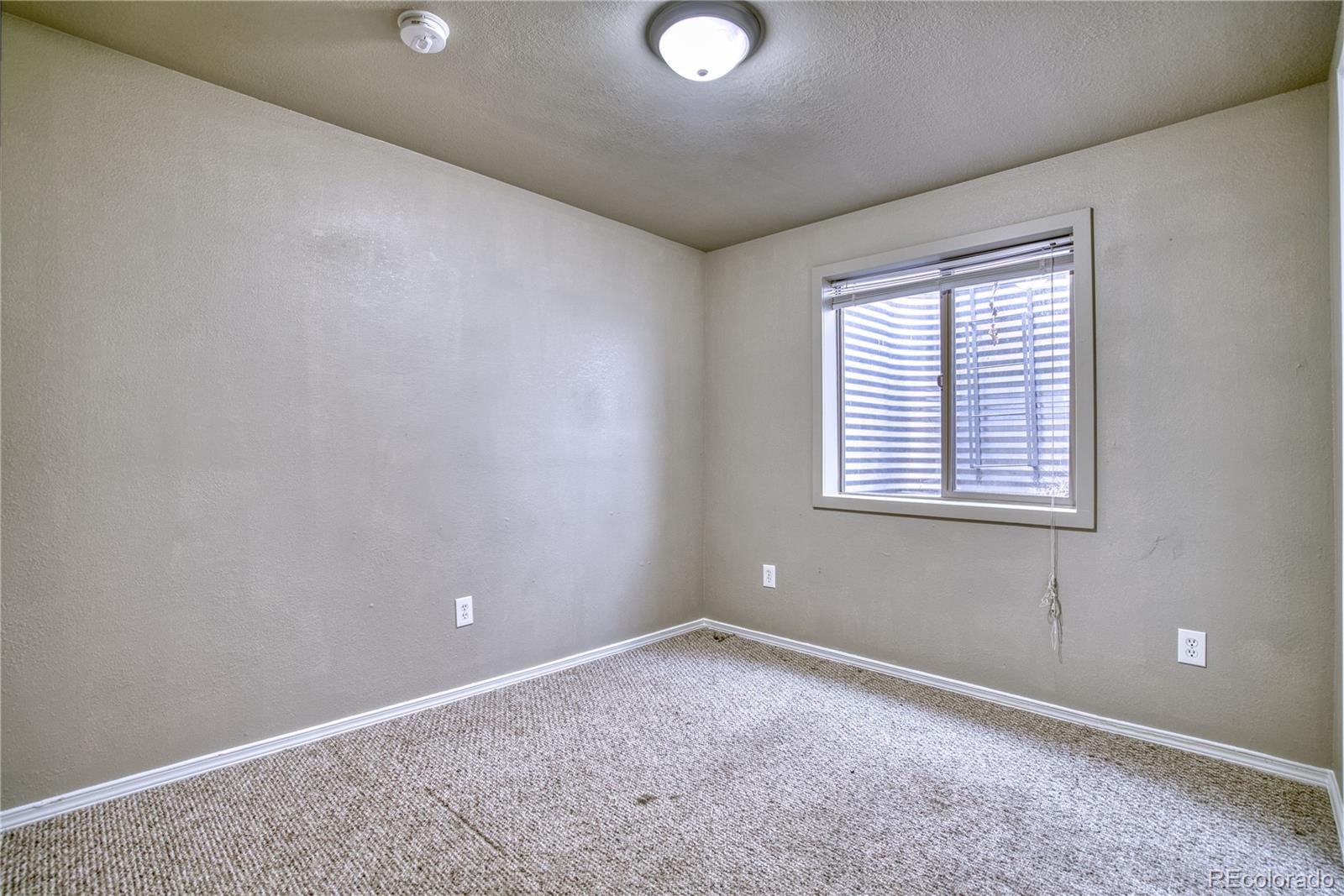 4572 Hayler Avenue Loveland CO 80538