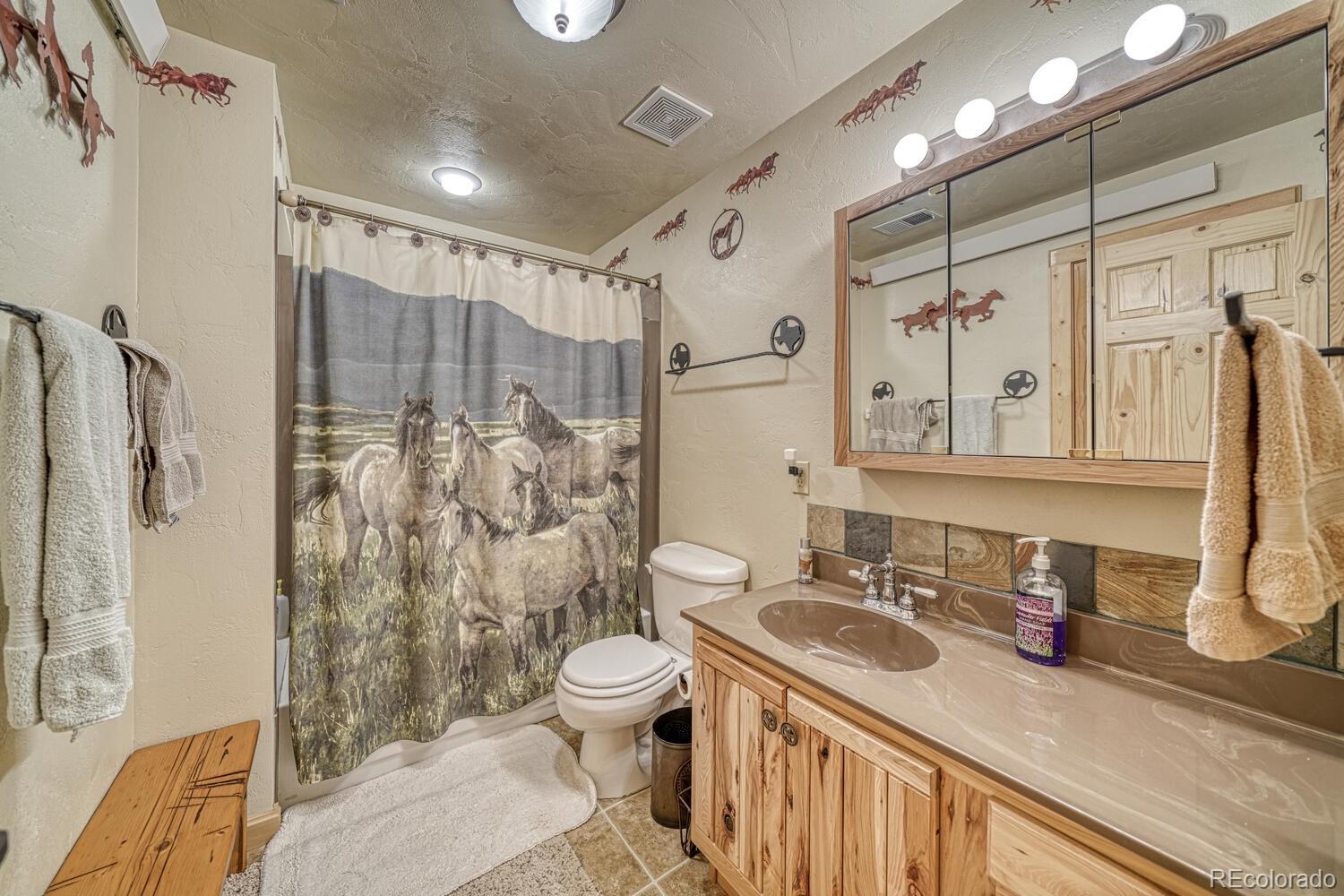 381 Cynthia Lane Westcliffe CO 81252