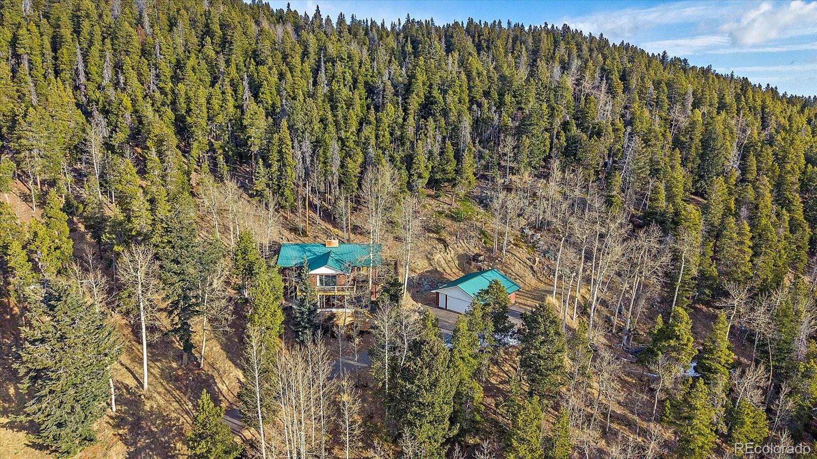66 Lodgepole Circle Evergreen CO 80439