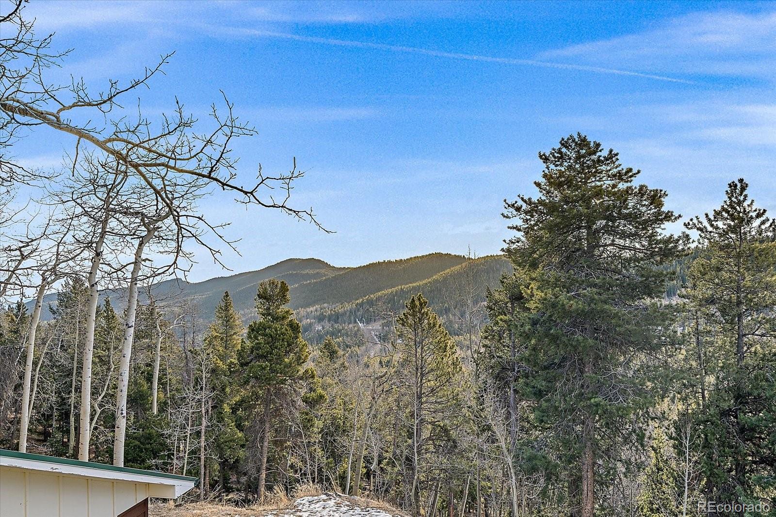 66 Lodgepole Circle Evergreen CO 80439