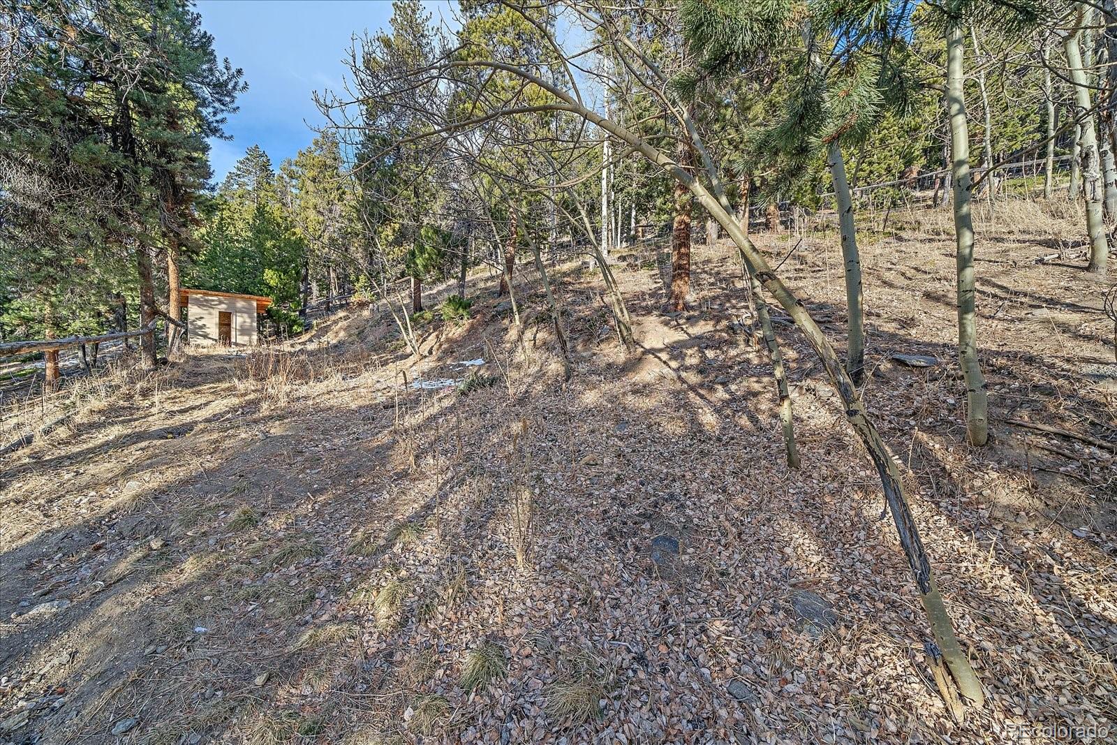 66 Lodgepole Circle Evergreen CO 80439