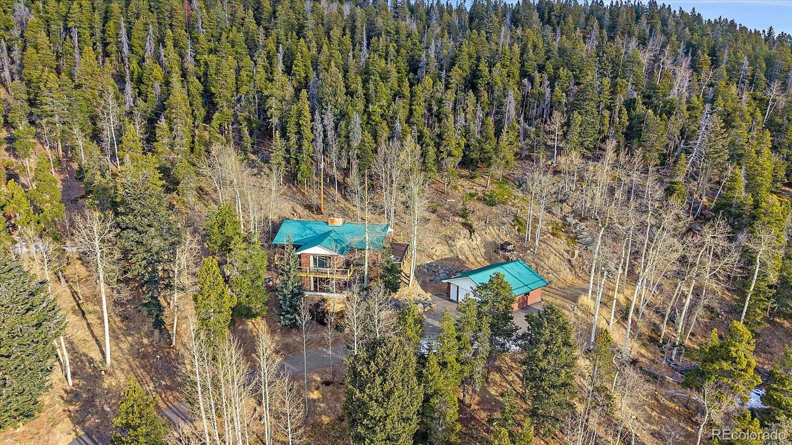 66 Lodgepole Circle Evergreen CO 80439