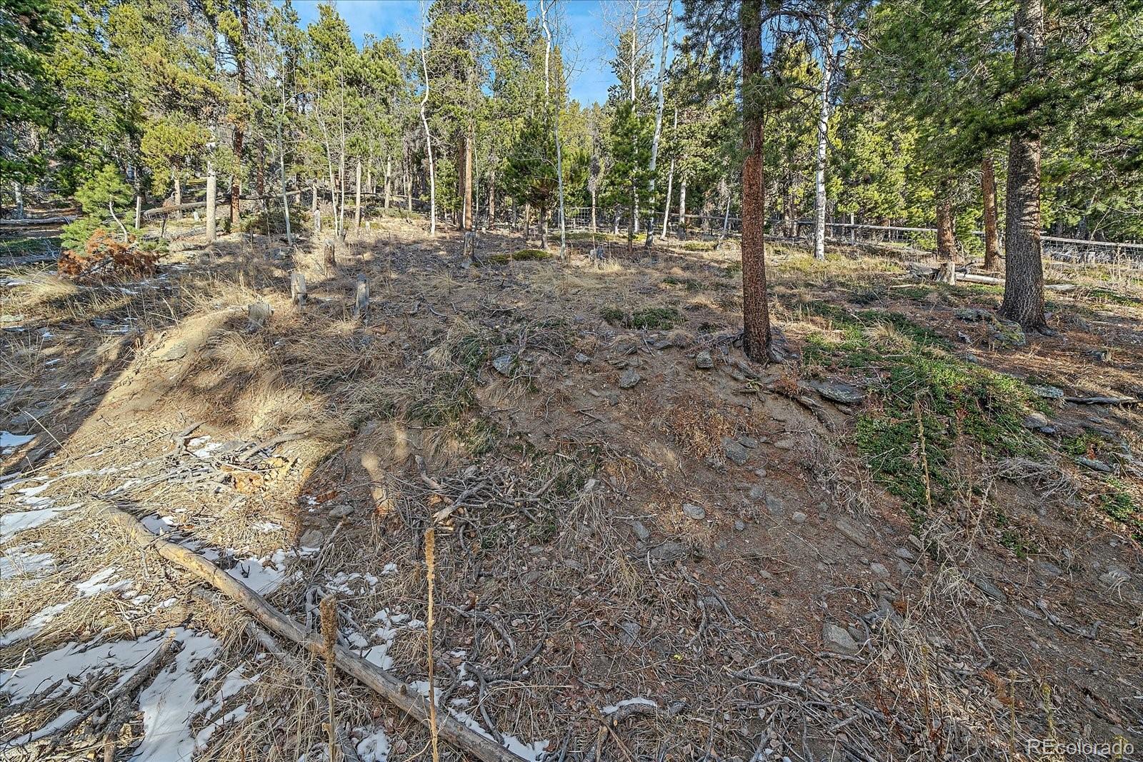 66 Lodgepole Circle Evergreen CO 80439