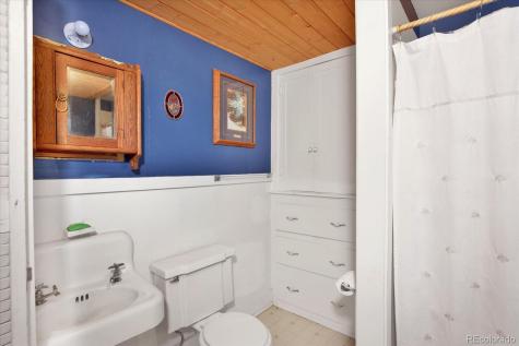 410 Pinon Street Buena Vista CO 81211