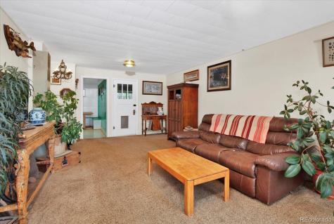 410 Pinon Street Buena Vista CO 81211