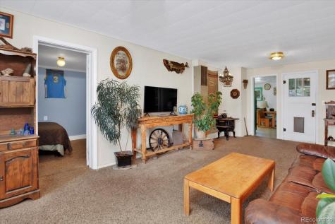 410 Pinon Street Buena Vista CO 81211