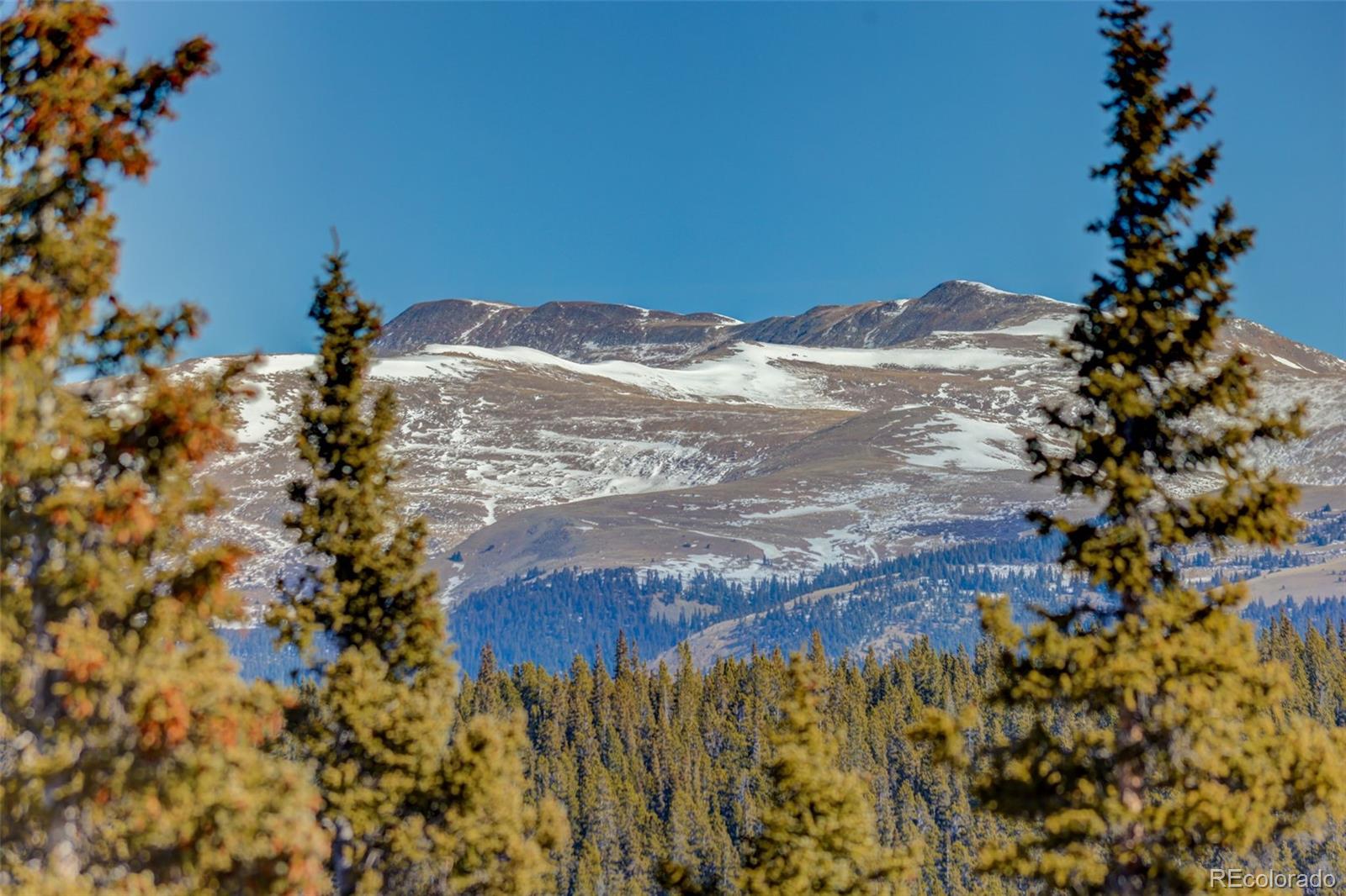 49 Silverheels Crossing Fairplay CO 80440