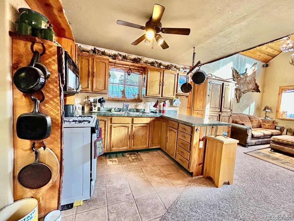 10401 Windy Ridge Road Aguilar CO 81020