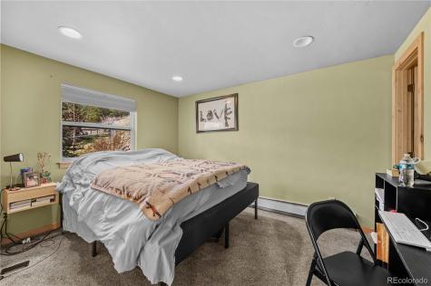 1803 Ridgeview Drive Leadville CO 80461