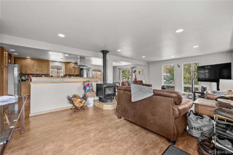 1803 Ridgeview Drive Leadville CO 80461