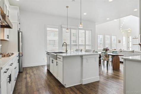 10534 Oncilla Lane Lone Tree CO 80124