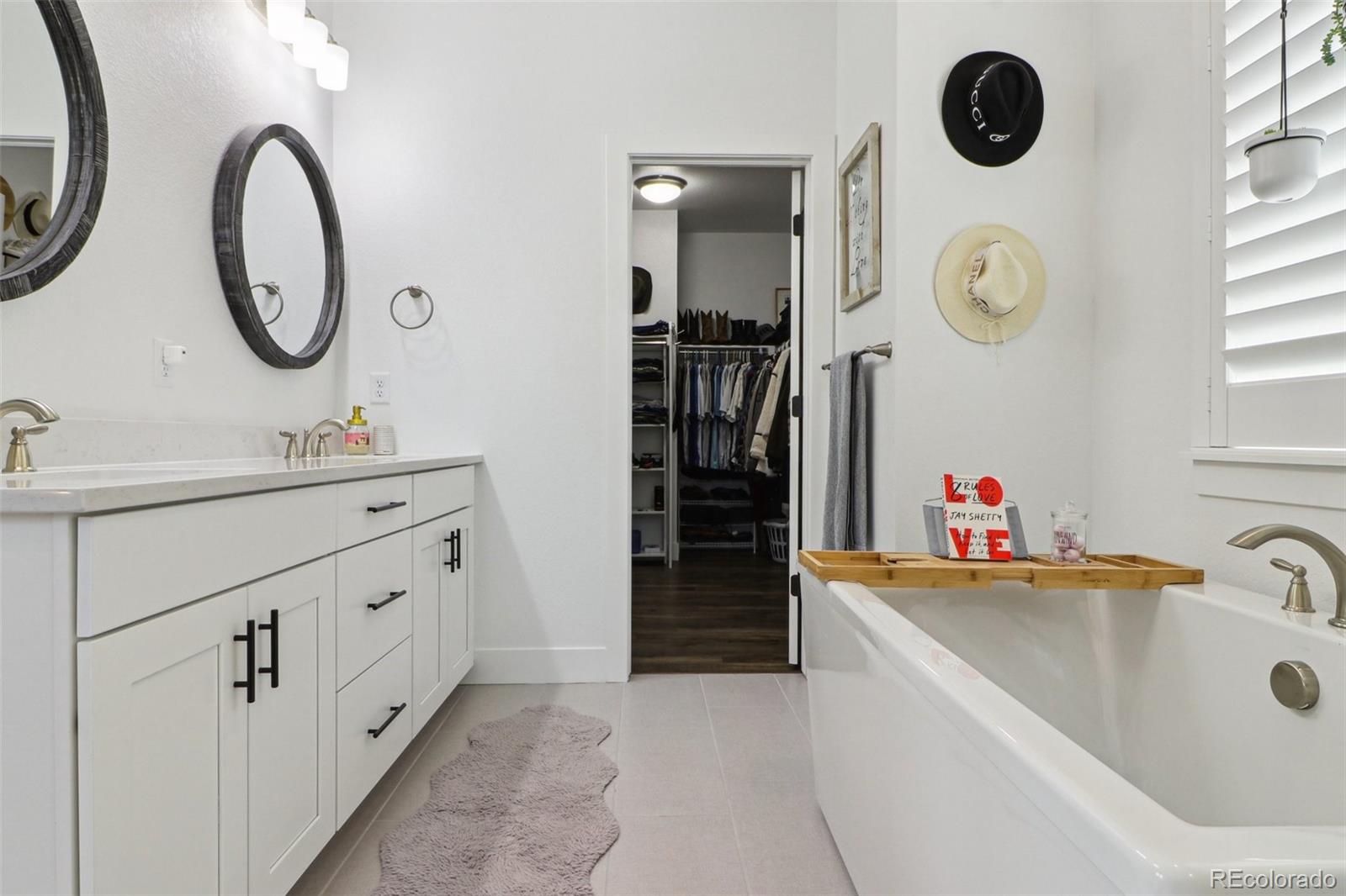 10534 Oncilla Lane Lone Tree CO 80124