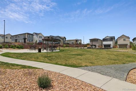 10534 Oncilla Lane Lone Tree CO 80124