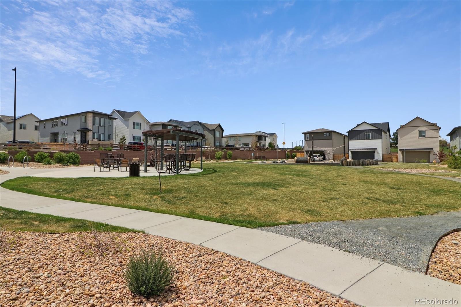 10534 Oncilla Lane Lone Tree CO 80124