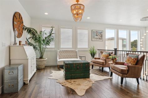 10534 Oncilla Lane Lone Tree CO 80124