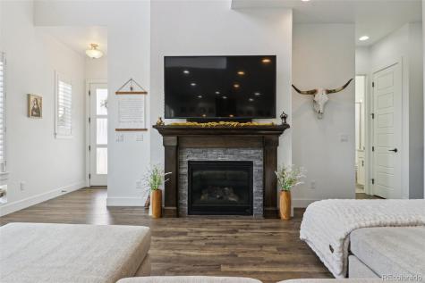 10534 Oncilla Lane Lone Tree CO 80124