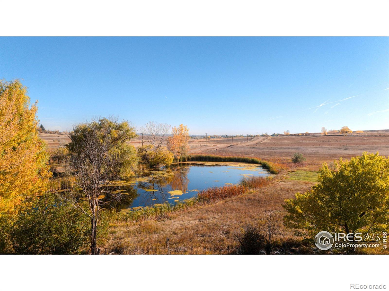 5196 Oxford Road Longmont CO 80503