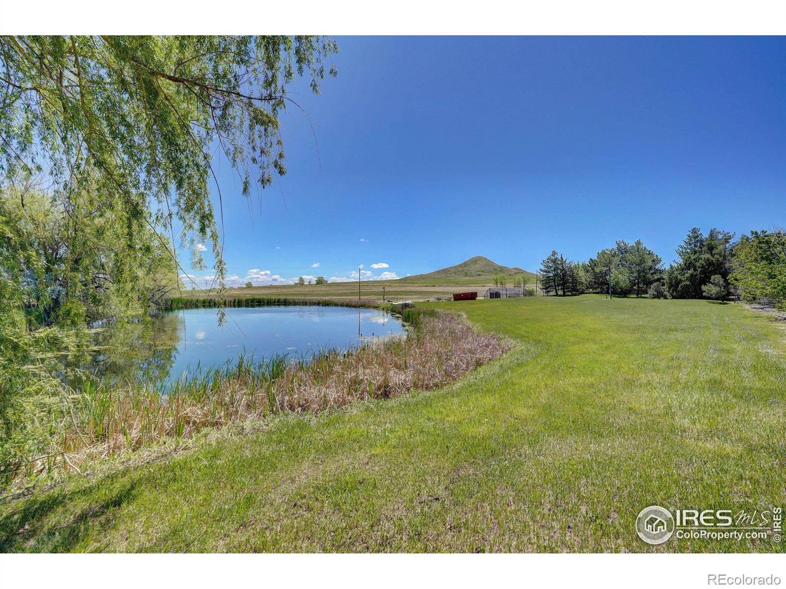 5196 Oxford Road Longmont CO 80503
