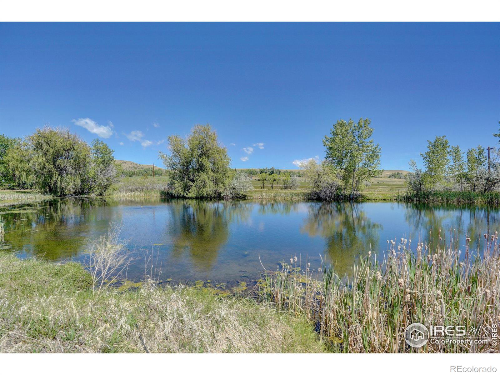 5196 Oxford Road Longmont CO 80503