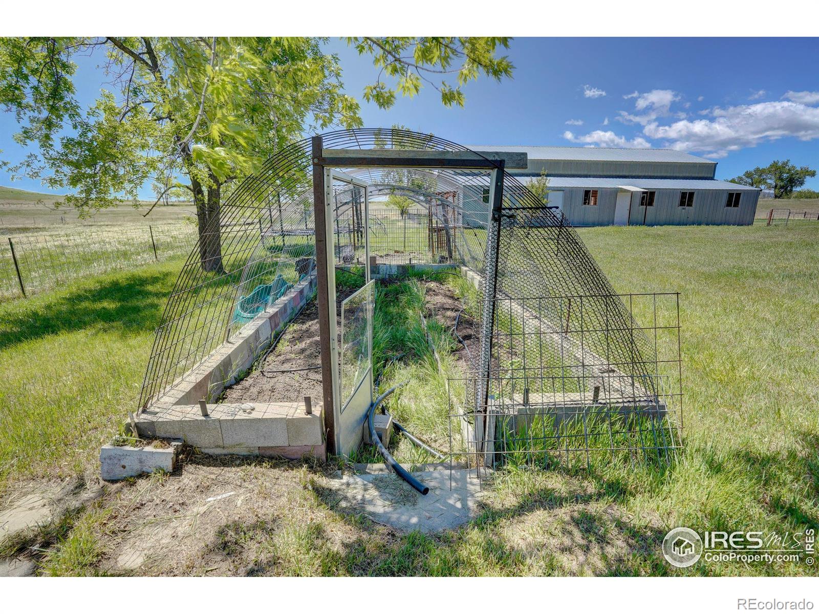 5196 Oxford Road Longmont CO 80503