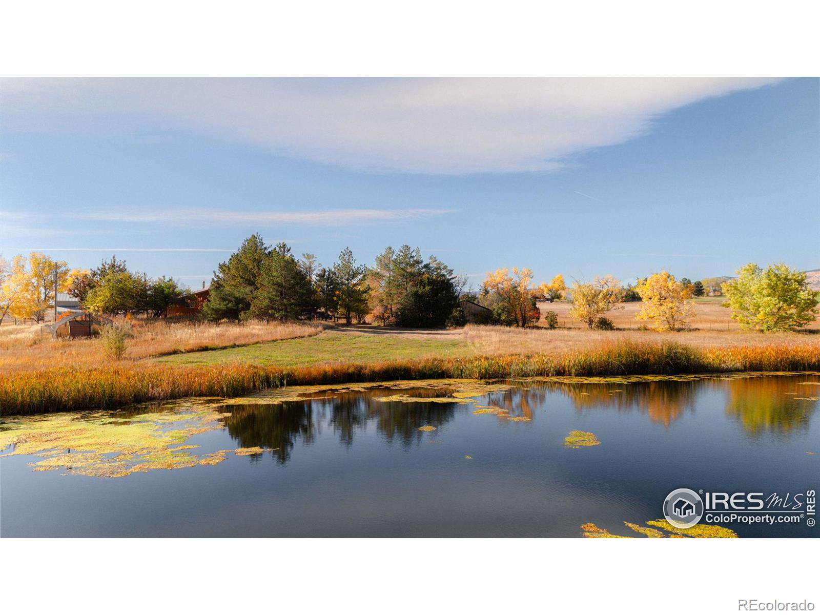5196 Oxford Road Longmont CO 80503