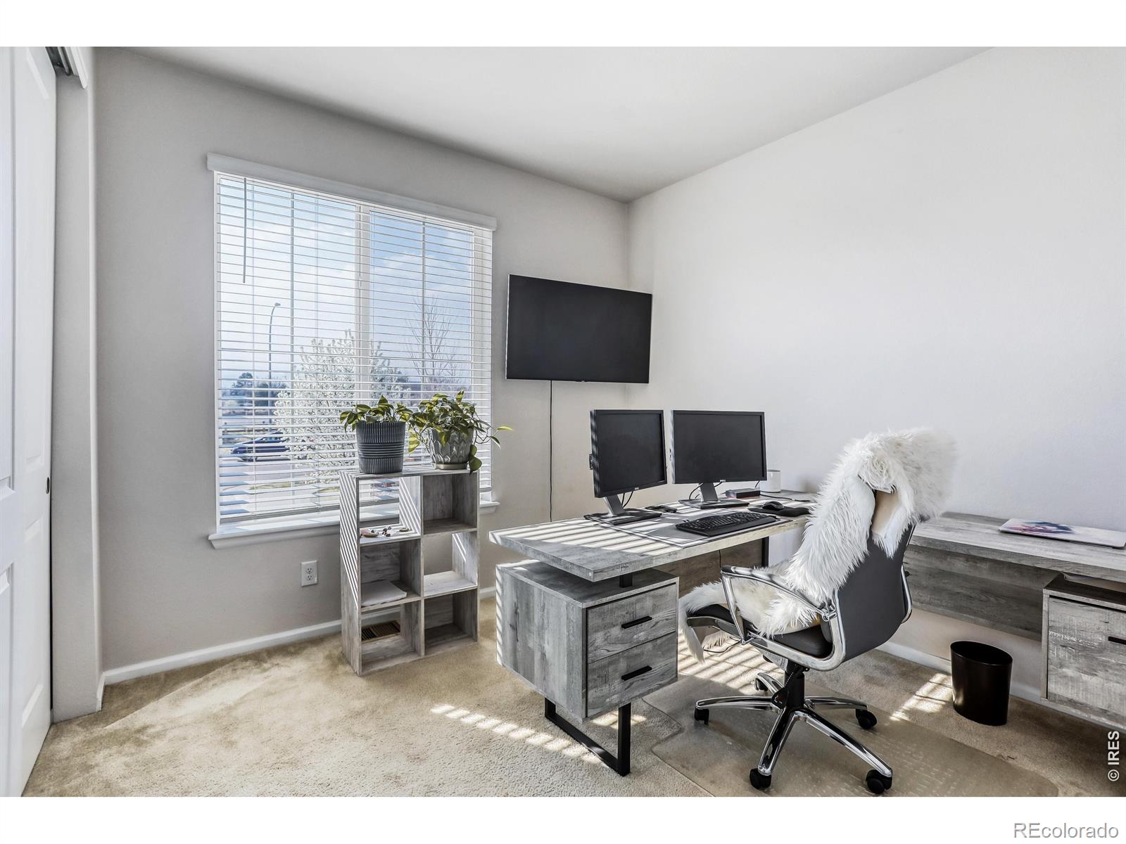 7154 Howell Court Arvada CO 80004