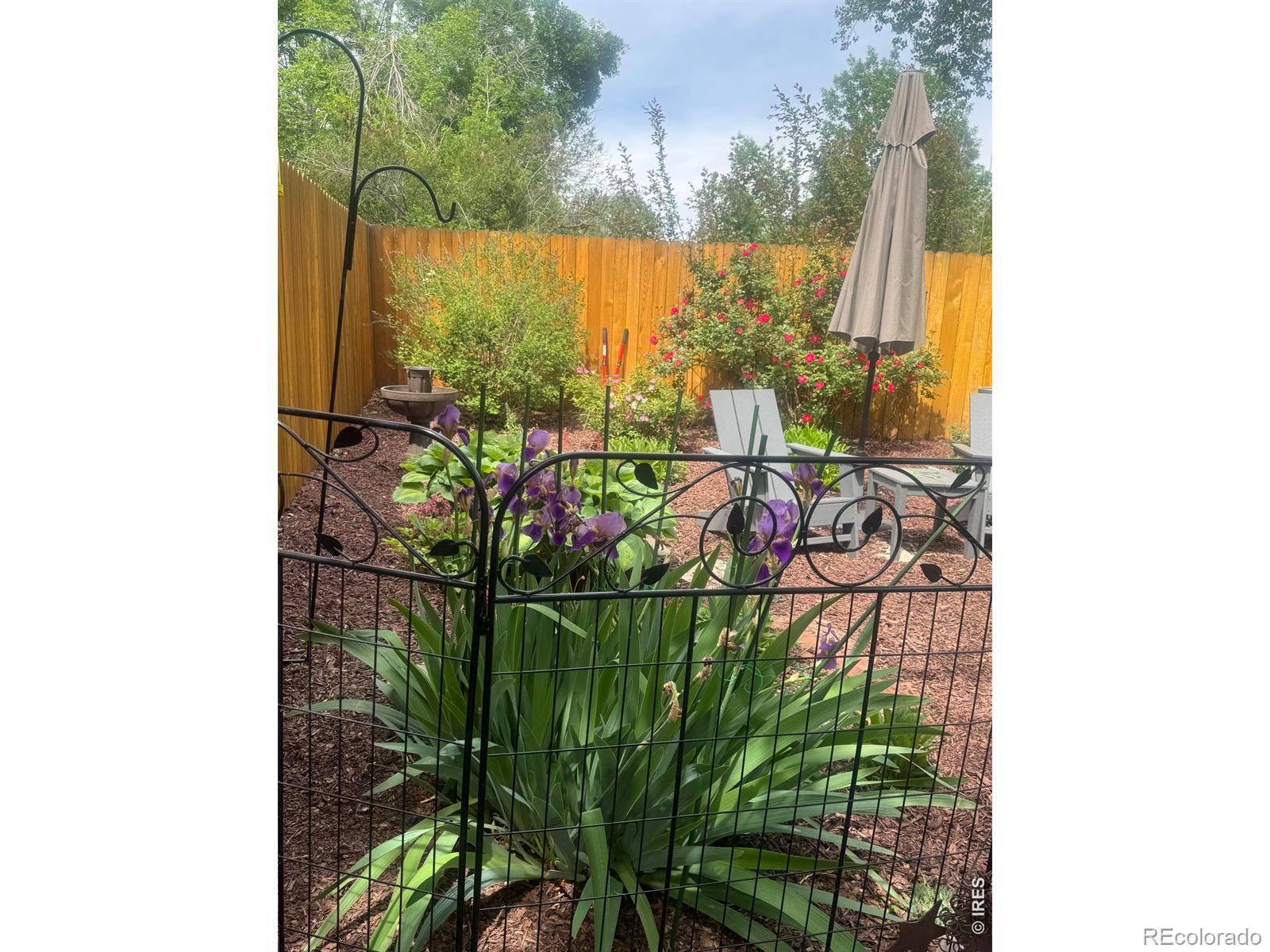 2637 Flintridge Place Fort Collins CO 80521