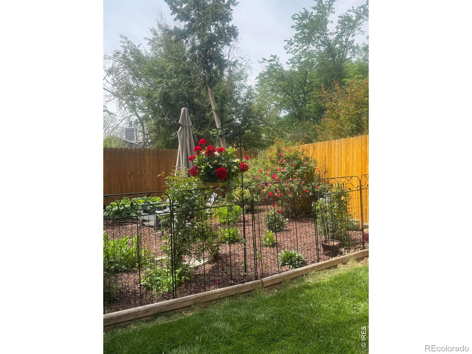 2637 Flintridge Place Fort Collins CO 80521
