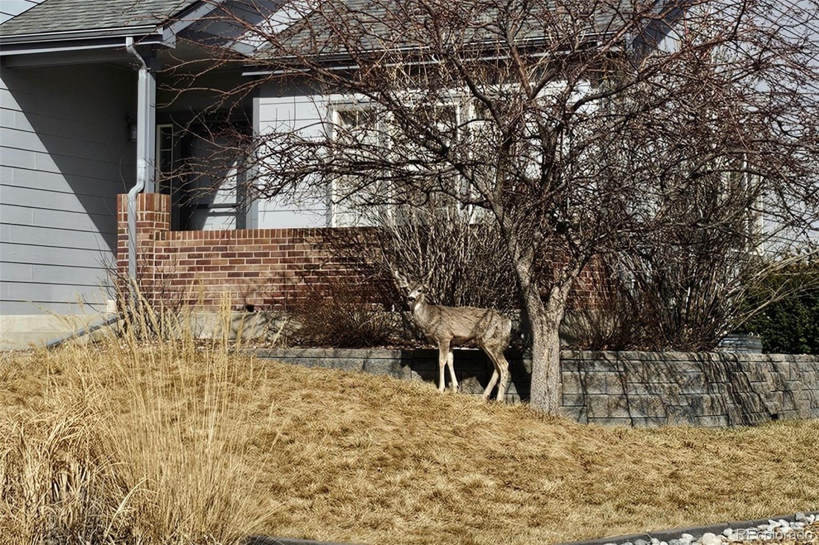 21805 Mount Elbert Place Parker CO 80138