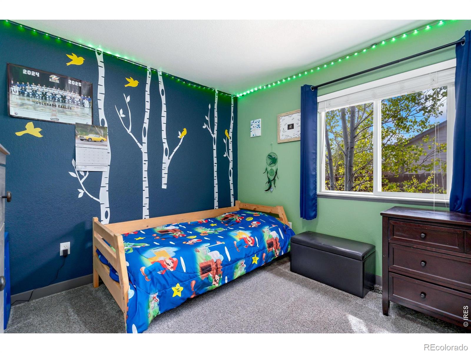 3240 Belmont Court Wellington CO 80549