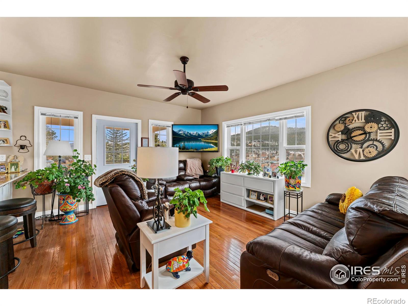 365 N Bridge Street Nederland CO 80466