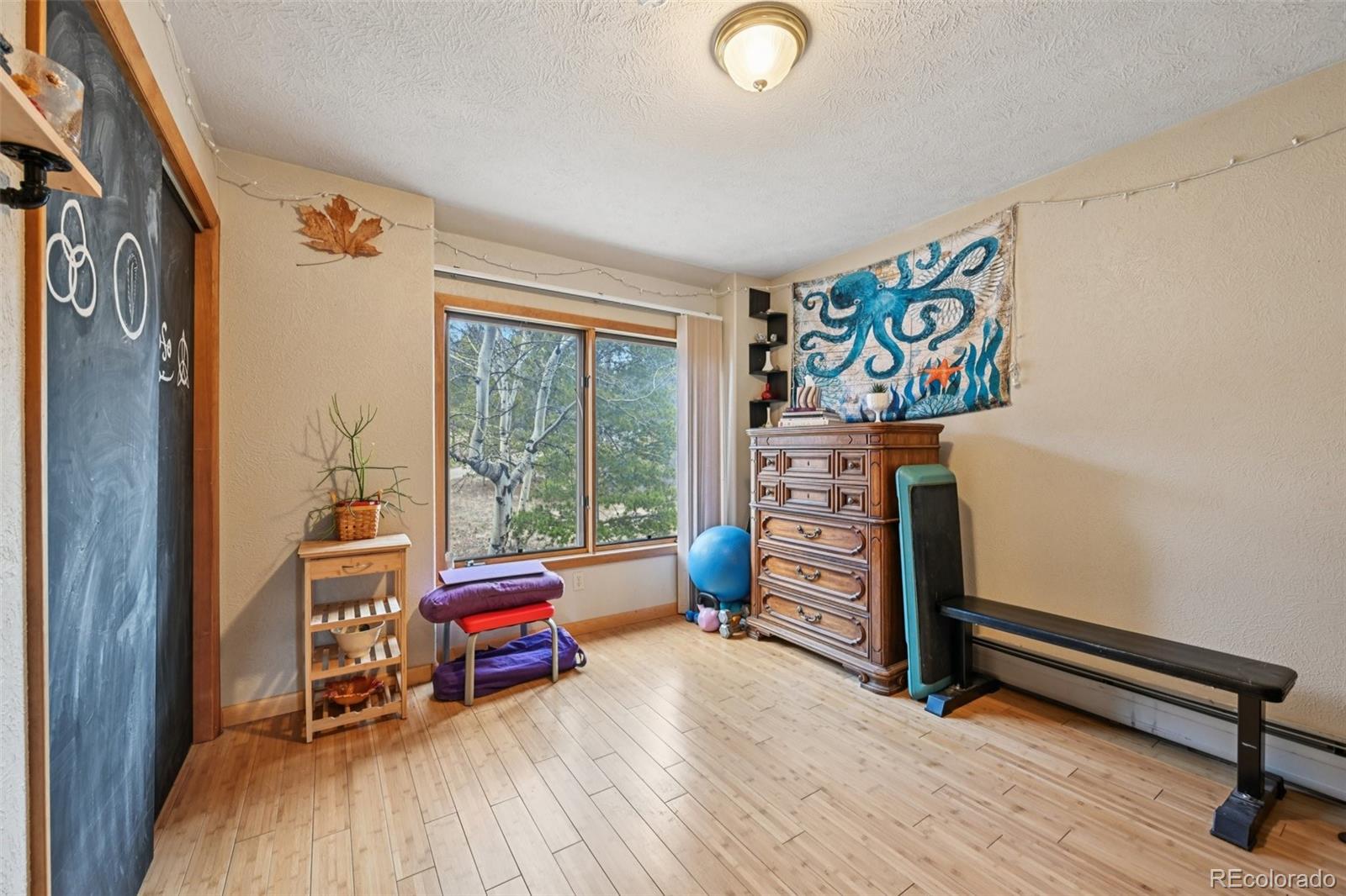 206 Pinon Circle Black Hawk CO 80422