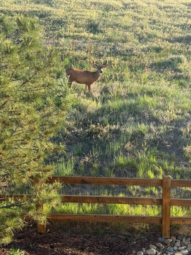 6499 Kenzie Circle Castle Pines CO 80108
