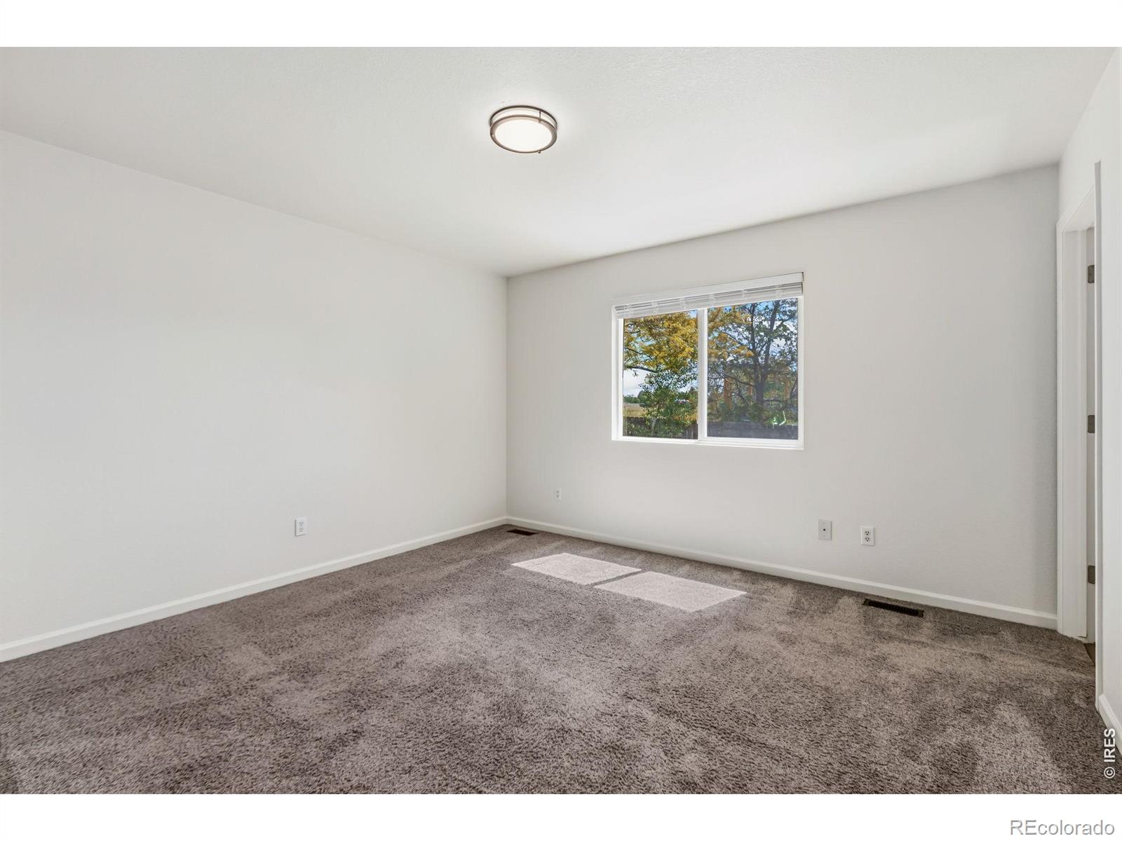 3524 Powderkeg Drive Evans CO 80620