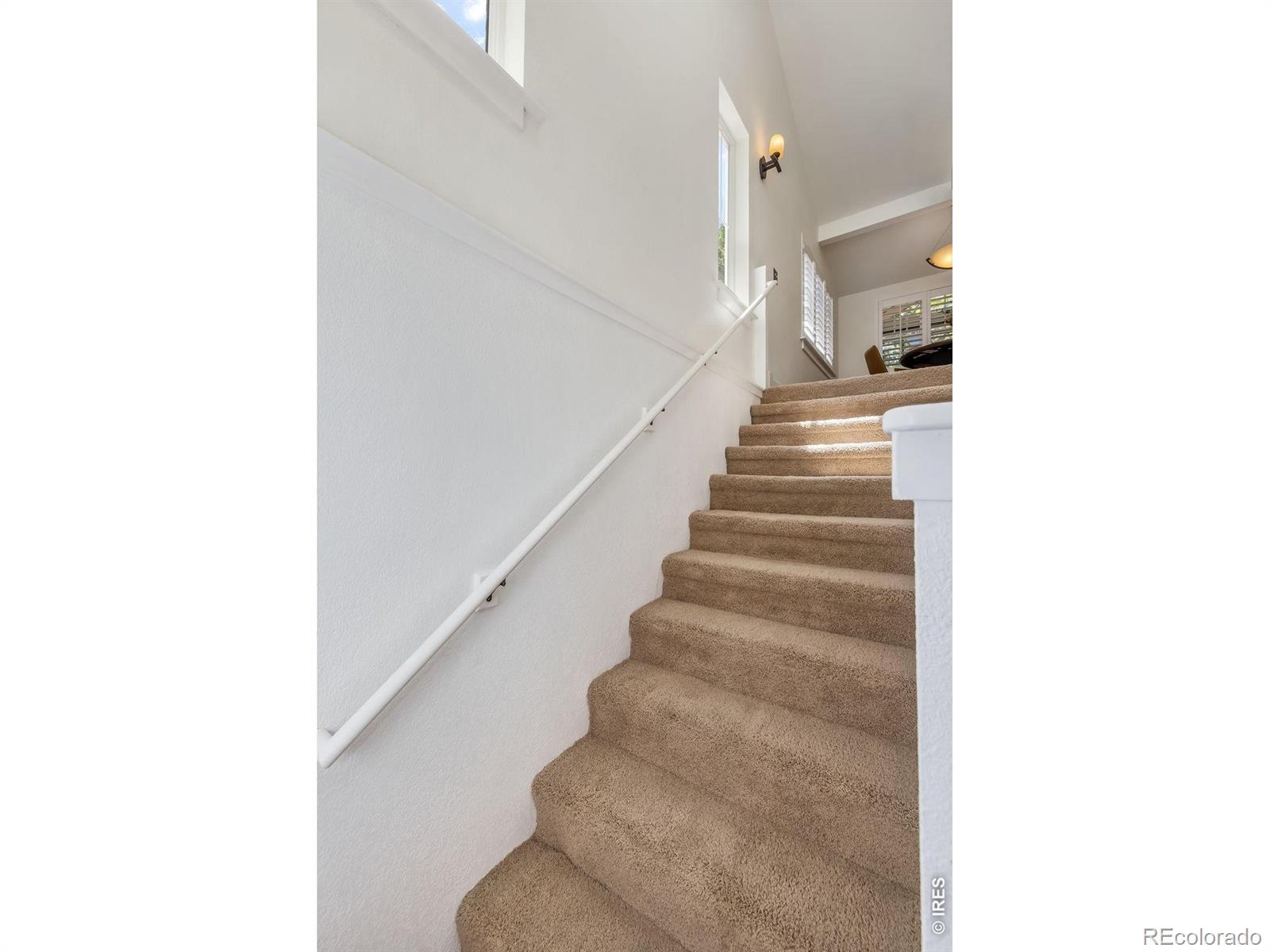 341 Grant Street Longmont CO 80501