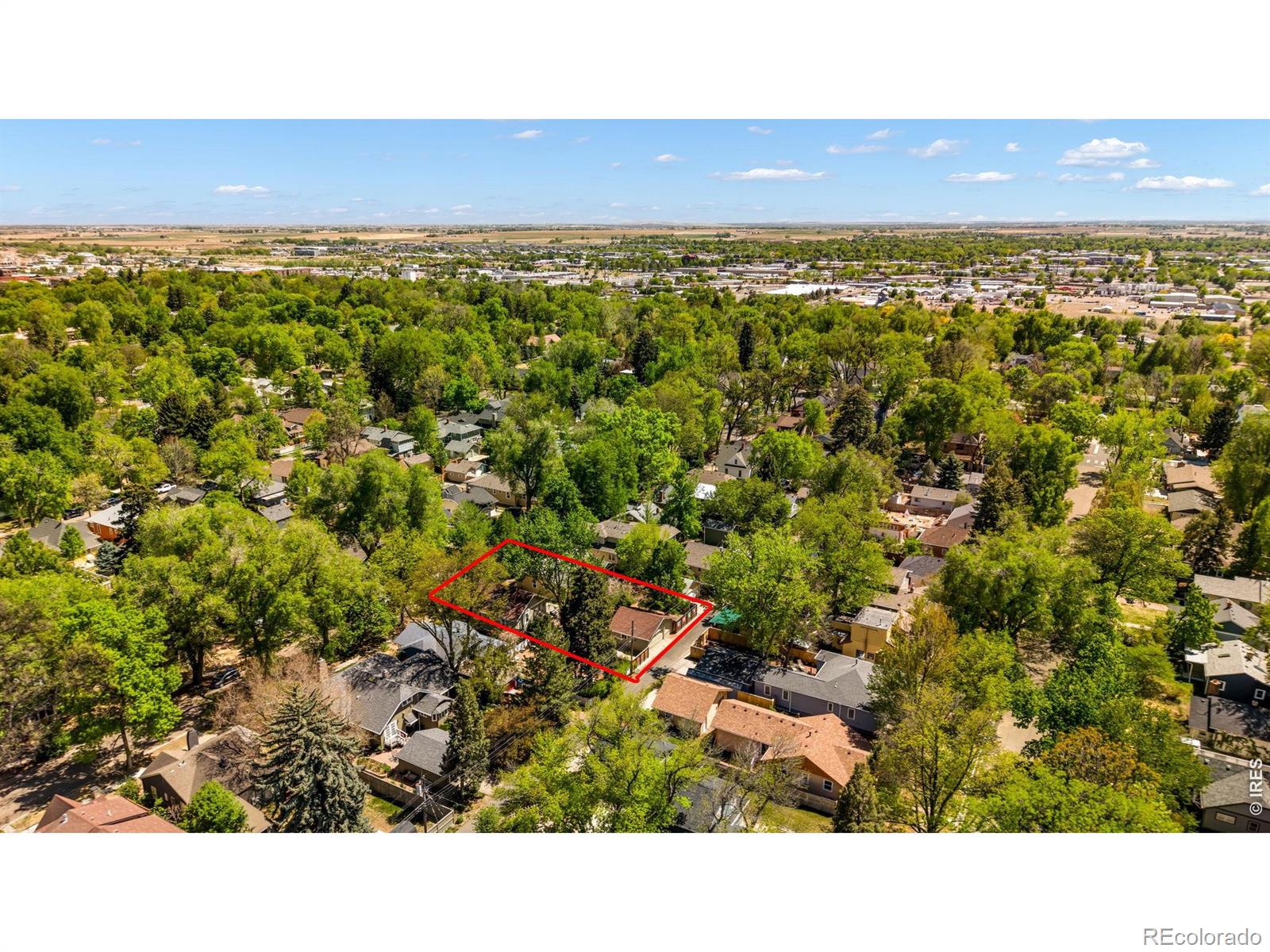 341 Grant Street Longmont CO 80501