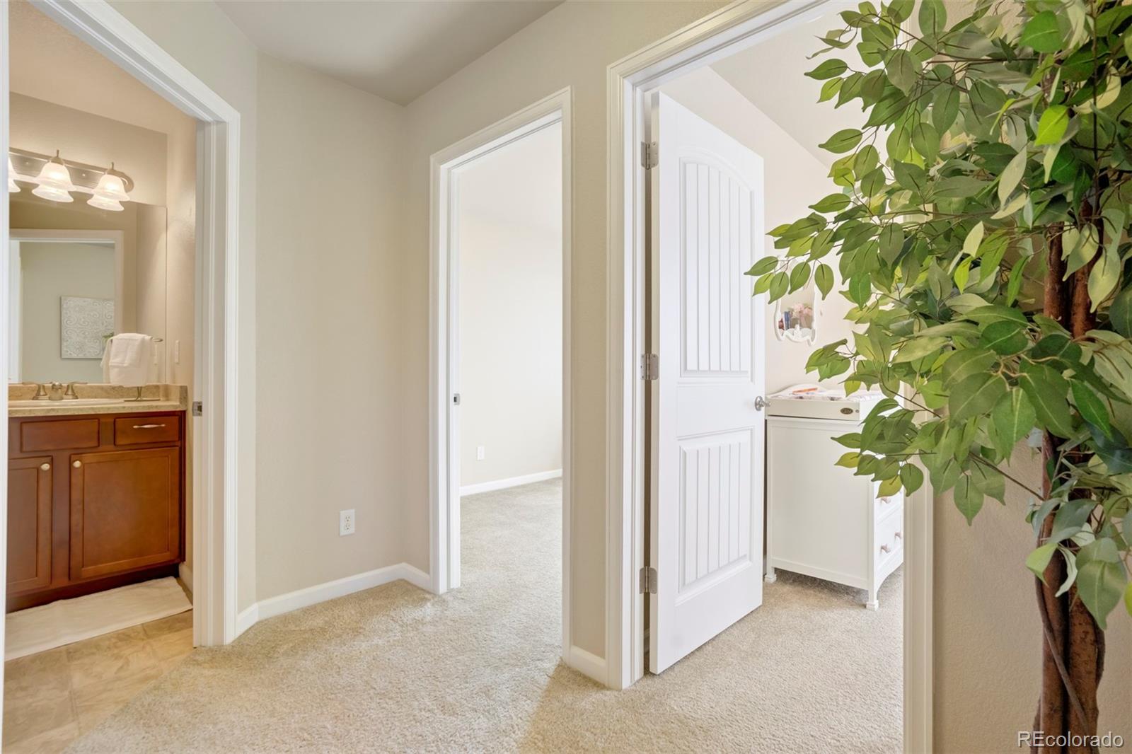 11572 Farnese Heights Peyton CO 80831