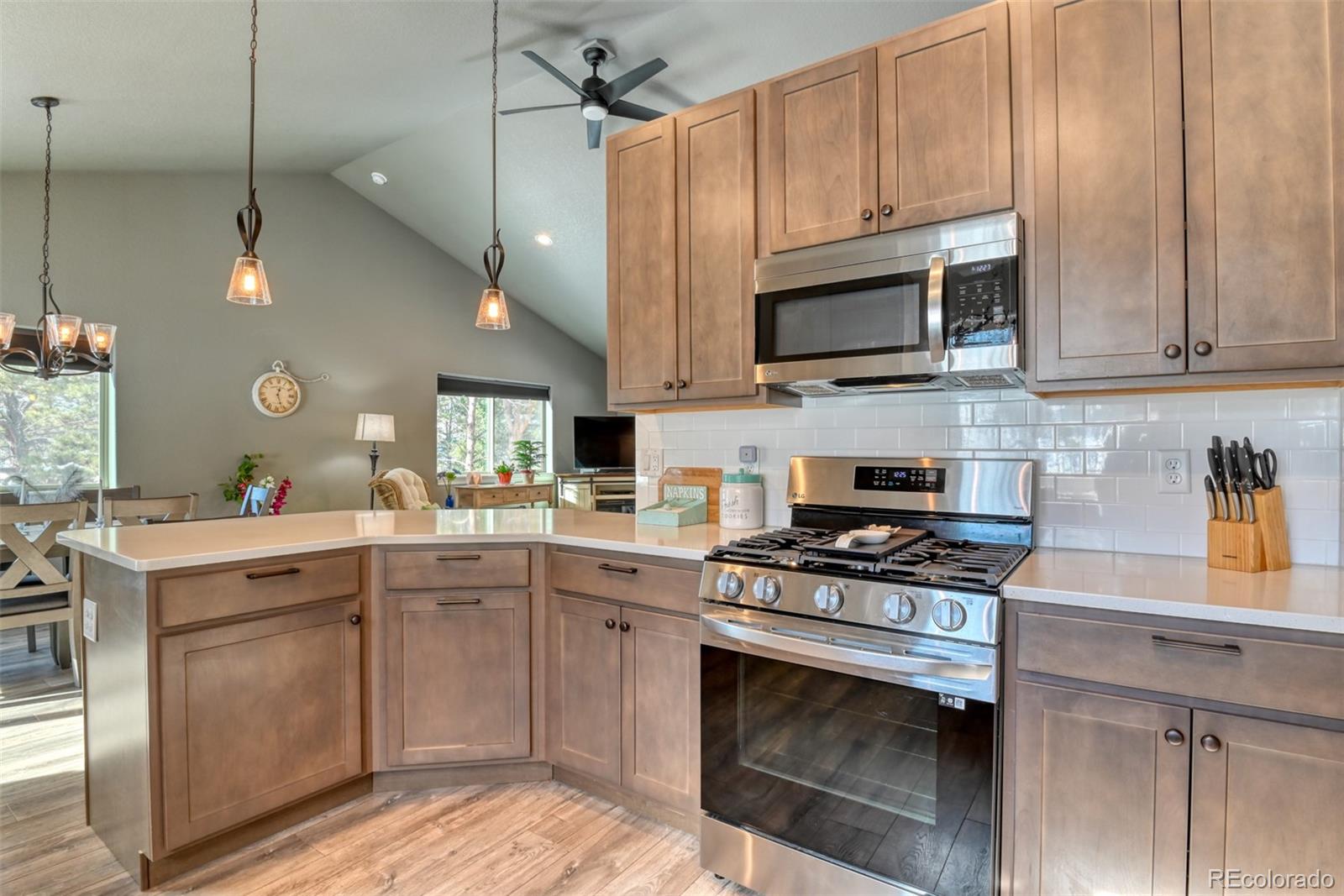 24 Big Horn Circle Florissant CO 80816